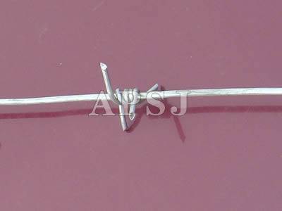 Barbed Wire - 1