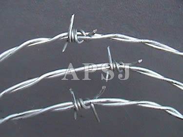 Barbed Wire - 2