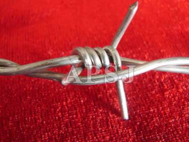 Barbed Wire - 3