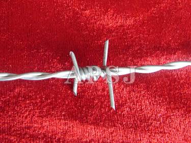 Barbed Wire - 4