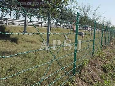 Barbed Wire - 5