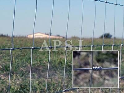 Field Fence - 5