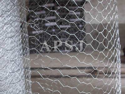 Hexagonal Wire Netting - 2