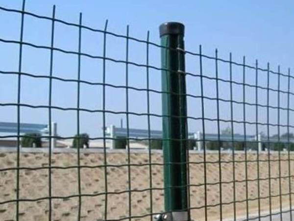 Holland Wire Mesh Fence - 1
