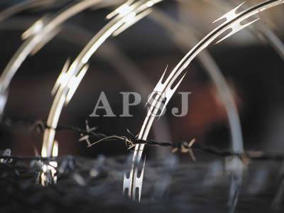 Razor Barbed Wire - 1